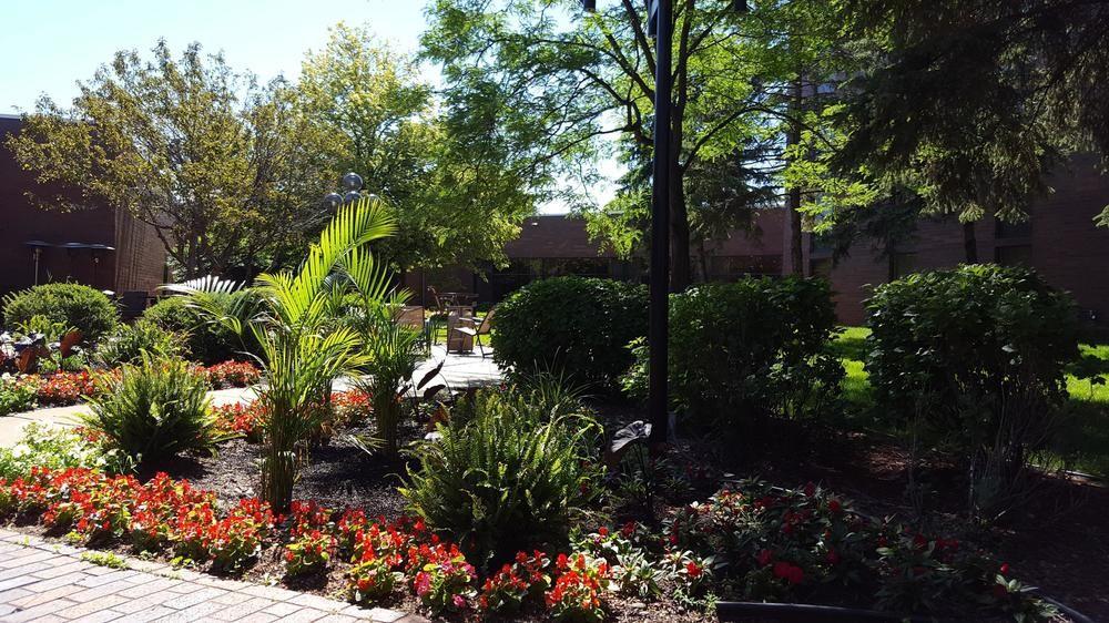 Delta Hotels By Marriott Minneapolis Northeast Εξωτερικό φωτογραφία
